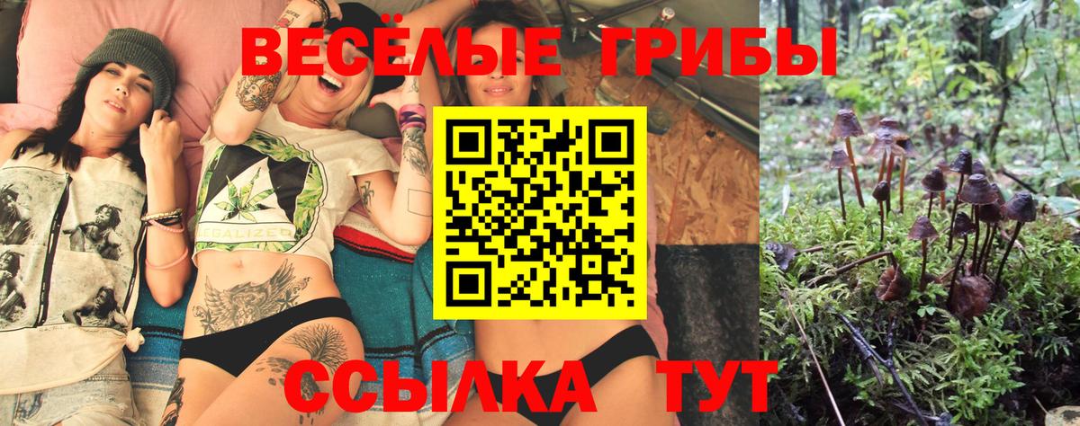 Псилоцибиновые грибы Psilocybine cubensis Уссурийск