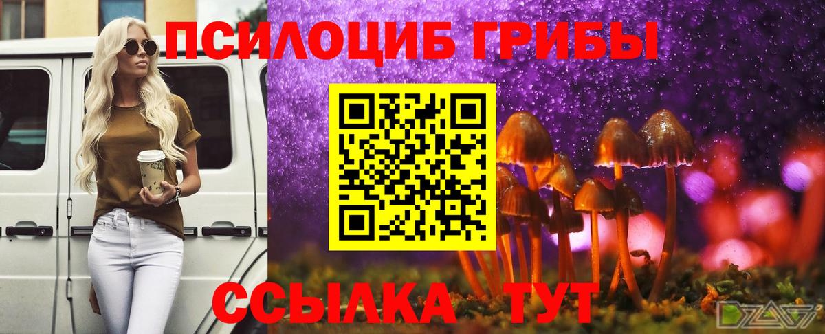 цена   Вход с VPN  Псилоцибиновые грибы мухоморы  Уссурийск  Галлюциногенные грибы Magic Shrooms 